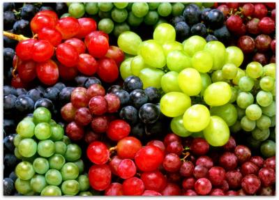 Состояние и перспективы виноградарства Поволжья