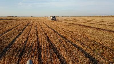 Саратовские аграрии намолотили 5,0 млн. тонн зерна.
