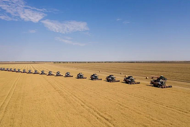 В России собрано порядка 45 млн тонн зерна