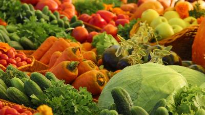 В области собрано более 300 000 тонн овощей