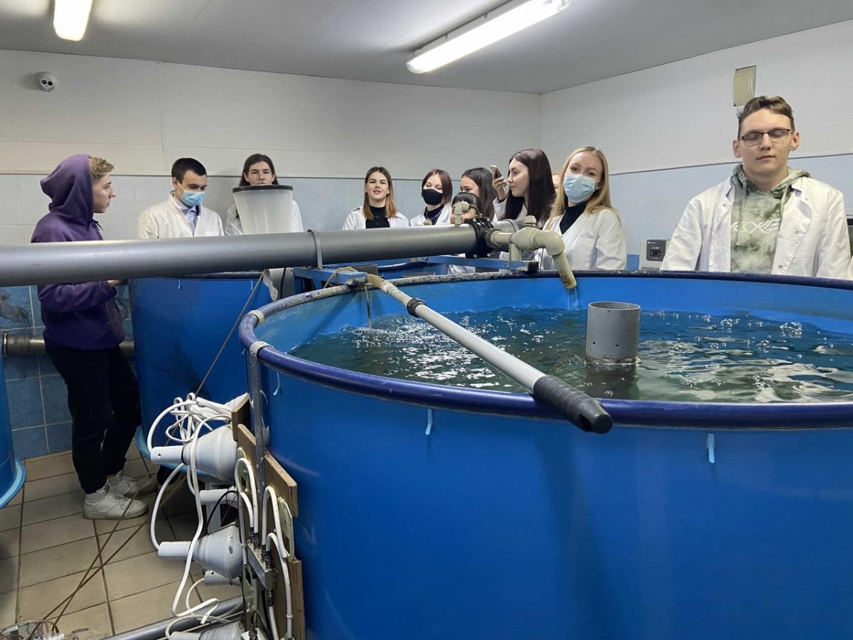 Экскурсию в научно-исследовательскую лабораторию «Технологии кормления и выращивания рыбы» Фото 1