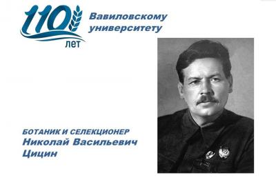 110 лет университету: Ботаник и селекционер Николай Цицин