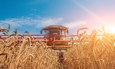 Хлеборобы области приступили к уборке яровой пшеницы