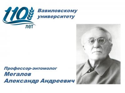 110 лет университету: Энтомолог Александр Мегалов
