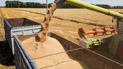 Урожай зерна в Саратовской области достиг 3 млн тонн