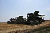 Валовой сбор зерна в области приближается к 4 млн тонн