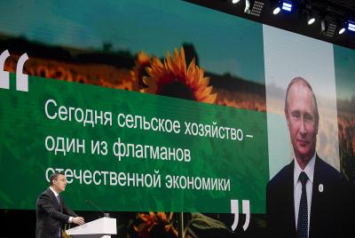 На выставке-форуме «Россия» обсудили итоги развития АПК