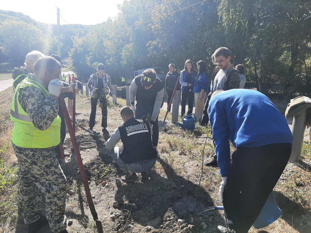 Студенты Вавиловского университета приняли участие в экологическом субботнике Фото 3