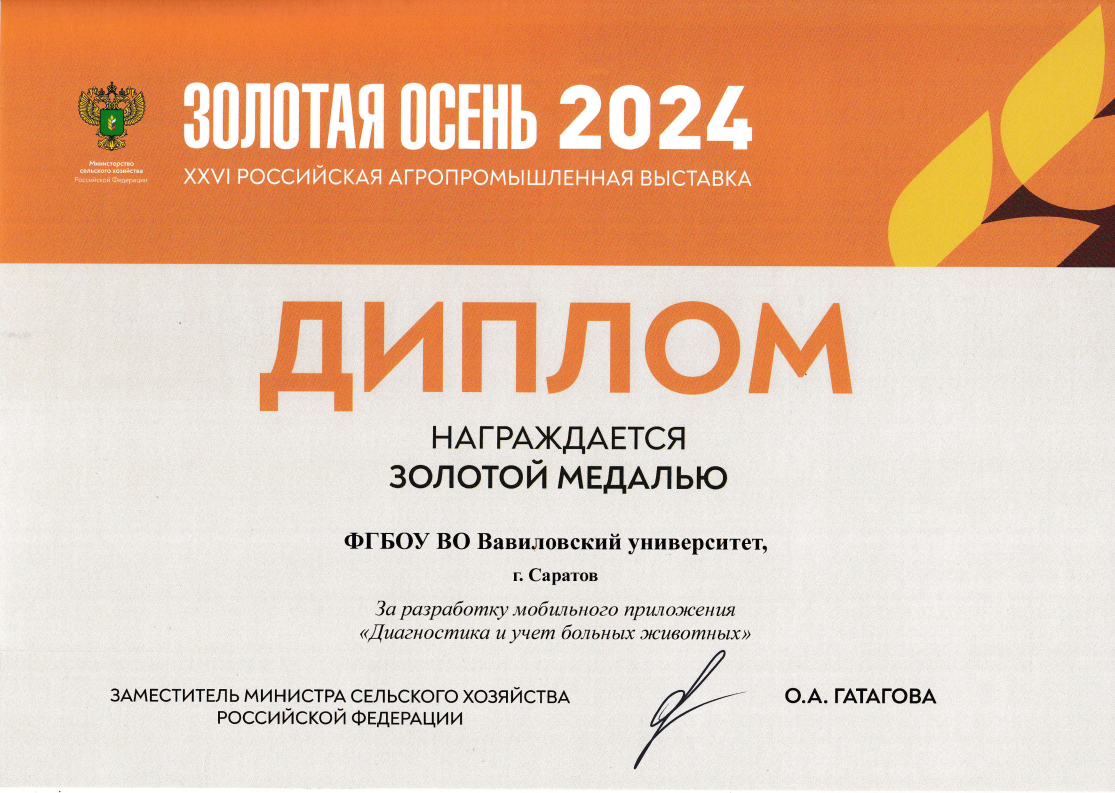 «Золотая осень – 2024» Фото 1