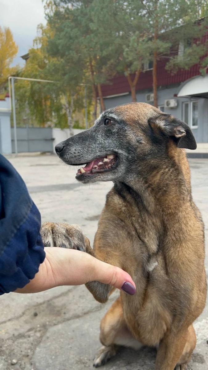 Студенты побывали на экскурсии в ОГУ «Служба спасения Саратовской области» Фото 18