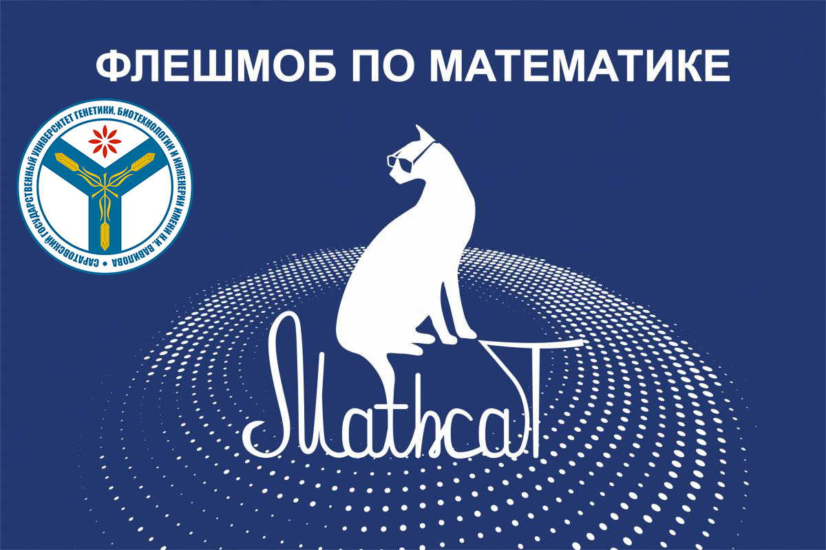 Международный математический флешмоб MathCat-2024