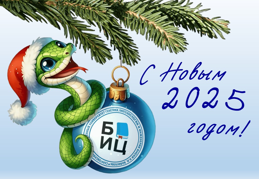 С Новым 2025 годом!