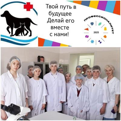 Профориентационный проект «Билет в будущее» в реализации