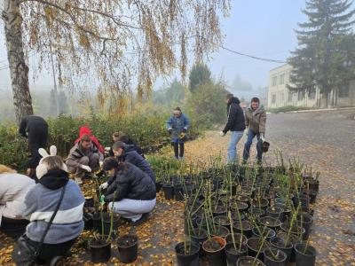 Участие студентов в подготовке питомников Агроцентра к зиме