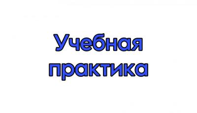 Учебная практика специальности 36.02.01 