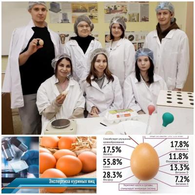 Будни  ветеринаров.