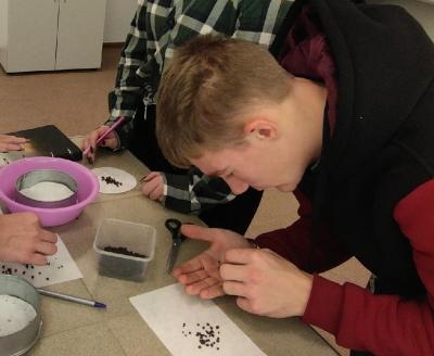 Практическое занятие: 