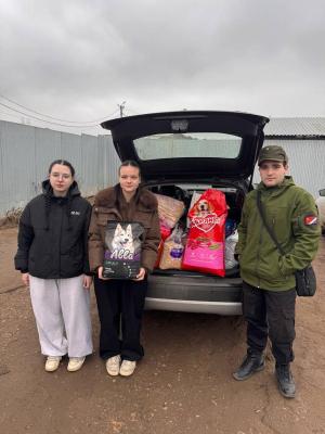 Благотворительная акция для помощи бездомным животным