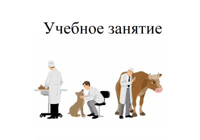 Будущие ветеринарные специалисты провели учебное обследование кролика