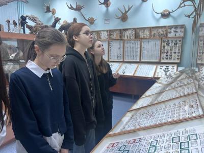 Посещение Энтомологического музея Вавиловского университета