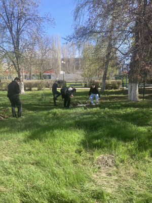 Всероссийский субботник