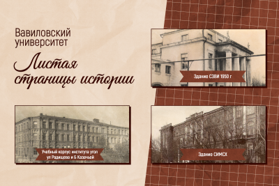 Листая страницы истории: Шефская помощь СИМСХ